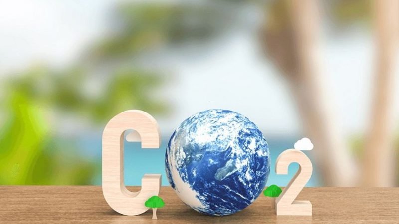 Em ação inédita, Comerc neutraliza emissões de CO2 de colaboradores Em ação inédita, Comerc neutraliza emissões de CO2 de colaboradores