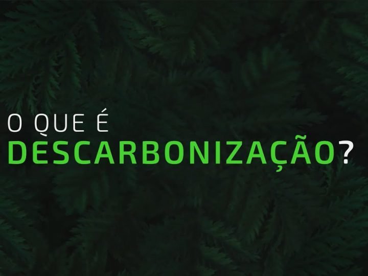 Comerc e Vibra lançam plataforma de comercialização de crédito de carbono