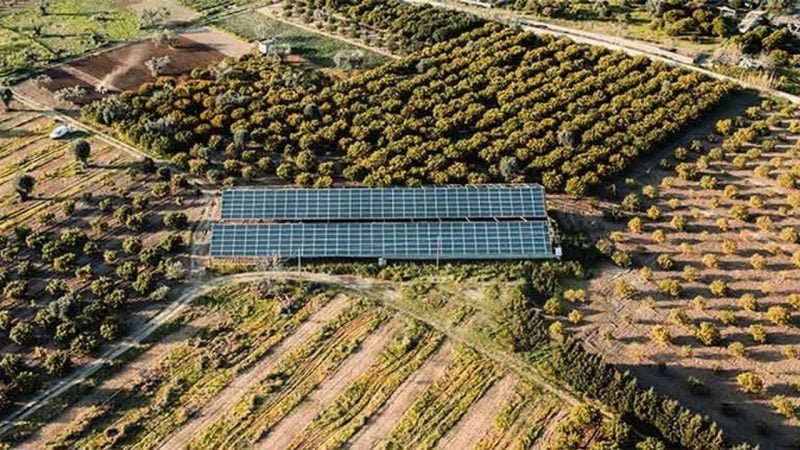 Plano Safra 2023/2024 disponibiliza incentivos para energia solar no campo Plano Safra 2023/2024 disponibiliza incentivos para energia solar no campo