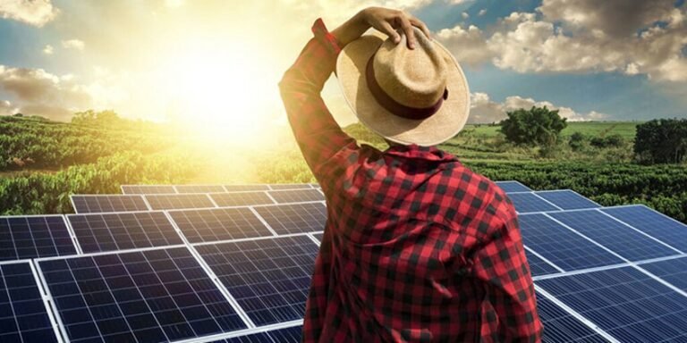 Agronegócio avança em geração de energia solar
