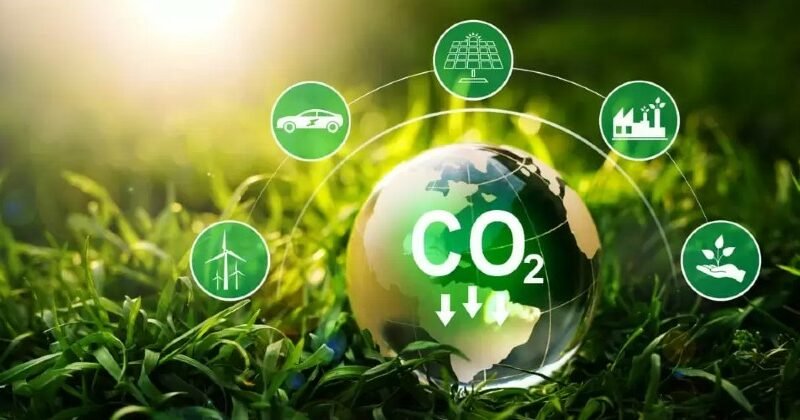 Entenda o que é crédito de carbono e como funciona