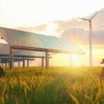 Estudo revela crescimento da autoprodução em contratos de energia renovável no Brasil