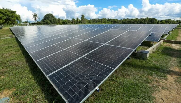 Projeções para 2024 e o Impacto na Matriz Energética