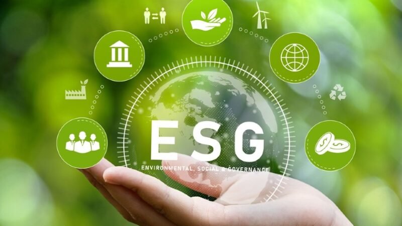 42% dos líderes de negócios pretendem aumentar investimento em ESG 42% dos líderes de negócios pretendem aumentar investimento em ESG