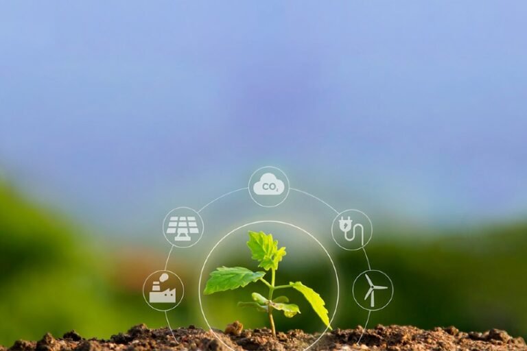 CAIXA coloca à venda mais de 1 milhão de toneladas de créditos de carbono