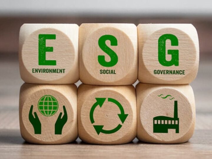 75% das empresas não têm alguma certificação de sustentabilidade e ESG, diz pesquisa