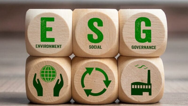 75% das empresas não têm alguma certificação de sustentabilidade e ESG, diz pesquisa