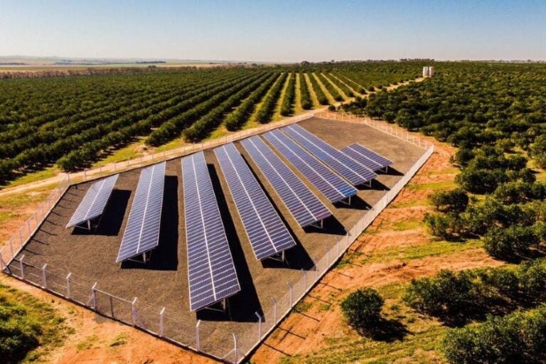 Energia solar se torna opção de renda para produtores rurais
