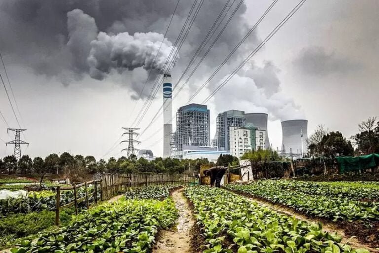 Mercado de Carbono: Senado aprova após muito debate projeto que regulamenta o setor