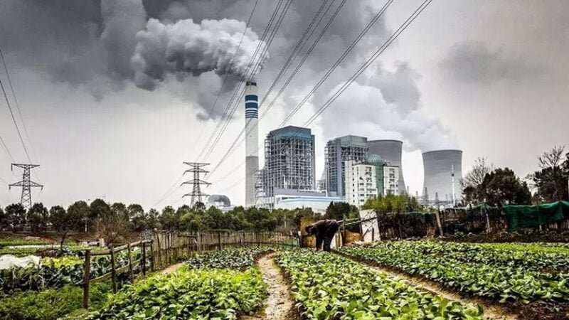 Mercado de Carbono: Senado aprova após muito debate projeto que regulamenta o setor