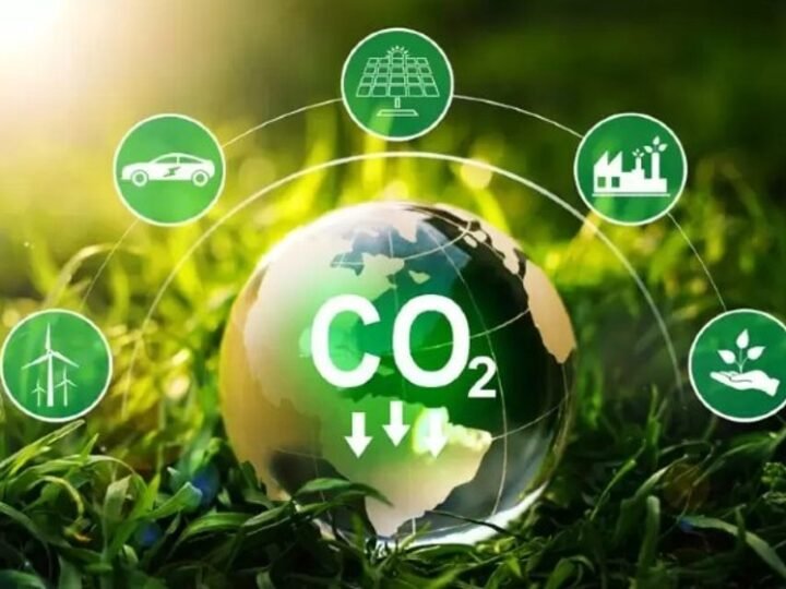 Precificação e responsabilidade socioambiental do crédito de carbono