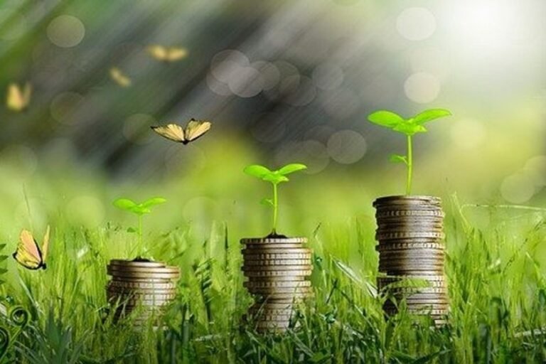 Prêmio da Economia Verde