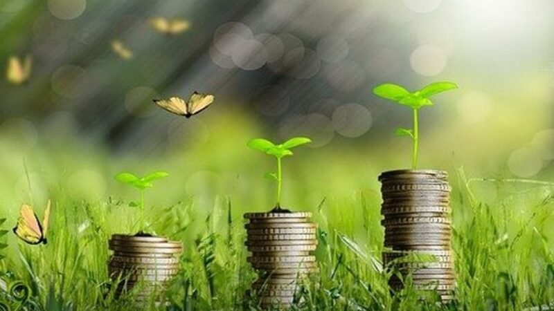 “Prêmio da Economia Verde” reconhece lideranças que contribuem para a sustentabilidade “Prêmio da Economia Verde” reconhece lideranças que contribuem para a sustentabilidade