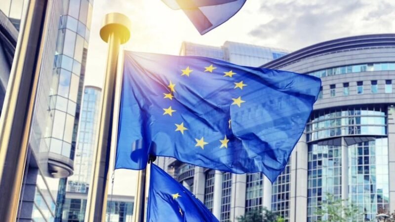 Nova lei internacional de sustentabilidade pode impactar exportações brasileiras Nova lei internacional de sustentabilidade pode impactar exportações brasileiras