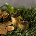 PL coloca o Brasil como grande player do Mercado de Carbono