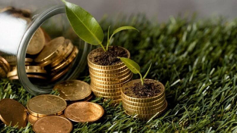 PL coloca o Brasil como grande player do Mercado de Carbono PL coloca o Brasil como grande player do Mercado de Carbono