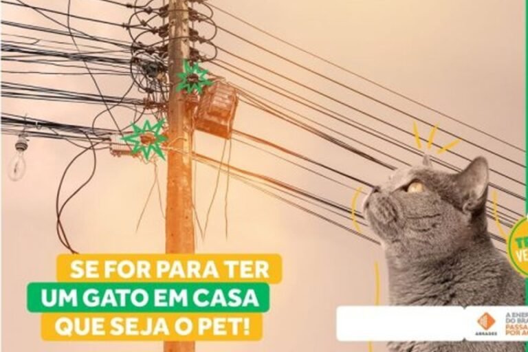 'Agosto Vermelho' alerta sobre segurança com a rede elétrica