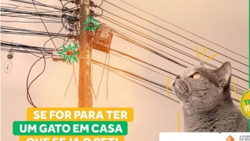 ‘Agosto Vermelho’ alerta sobre segurança com a rede elétrica ‘Agosto Vermelho’ alerta sobre segurança com a rede elétrica