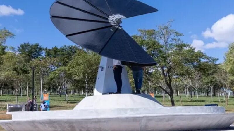 Flor Solar, feita no Parque das Nações Indígenas, localizado no bairro do Prosas, no Mato Grosso do Sul (Foto: Energisa/Divulgação)