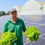 Transformação energética nos hidropônicos - energia solar Clovis Motin