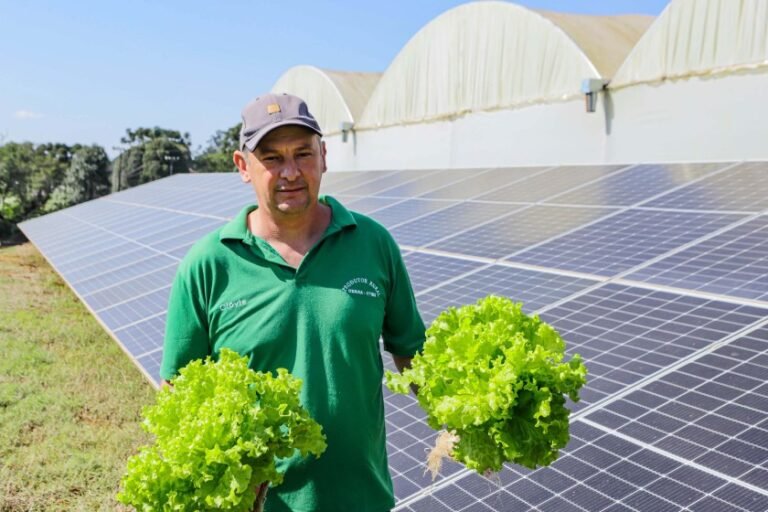 Transformação energética nos hidropônicos - energia solar Clovis Motin