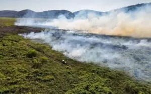 Queimadas persistem em diversos biomas do Brasil Queimadas persistem em diversos biomas do Brasil