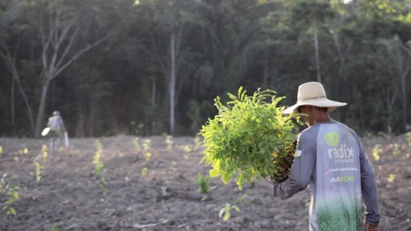 Radix aplica expertise em recuperação da Amazônia para ingressar no mercado de carbono