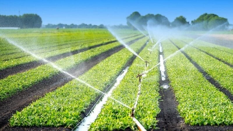 Produtores Rurais: Devem ficar atentos para não perder benefícios nas contas de energia elétrica Produtores Rurais: Devem ficar atentos para não perder benefícios nas contas de energia elétrica