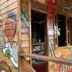 Indígenas na Amazônia Investem em Painel Solar e Internet da Starlink