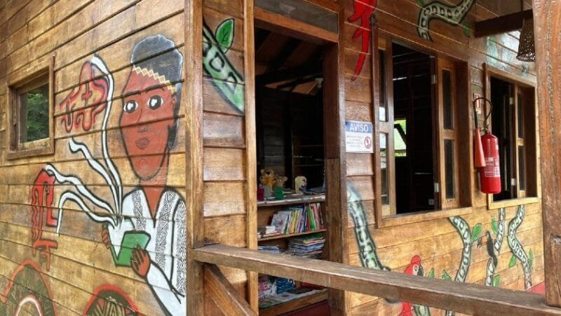 Indígenas na Amazônia Investem em Painel Solar e Internet da Starlink