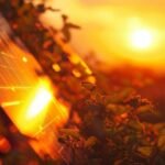 O Sol Brilha no Mercado: Financiamento de Energia Solar Dispara 12,4% em 2024
