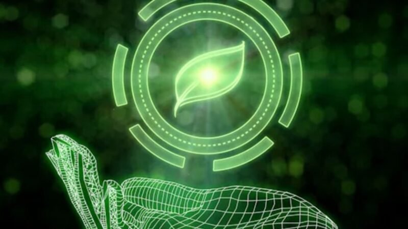 Crédito de Carbono via API: Stark Bank e Ambipar anunciam parceria para compras automatizadas