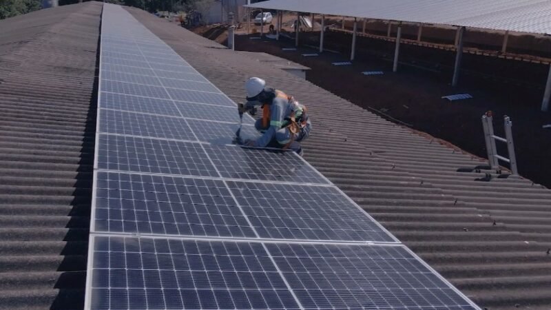 Entraves e Soluções: Energia Solar no dia Mundial da Energia Entraves e Soluções: Energia Solar no dia Mundial da Energia