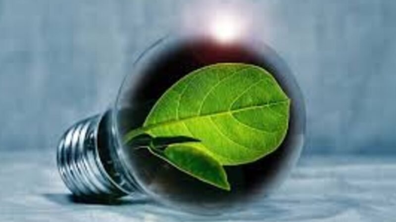 Oportunidade Lucrativa com economia verde – Confira quem já está lucrando!