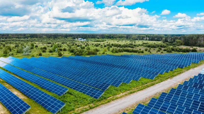 2C Energia promete levar energia eficiente com Usina inovadora para 4 mil pessoas no DF 2C Energia promete levar energia eficiente com Usina inovadora para 4 mil pessoas no DF