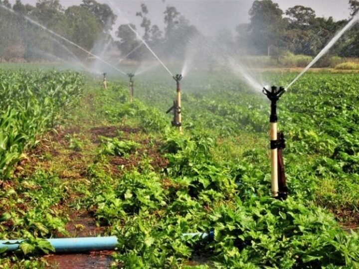 Debate na Câmara sobre descontos na Conta de Luz para agricultura e aquacultura durante o dia