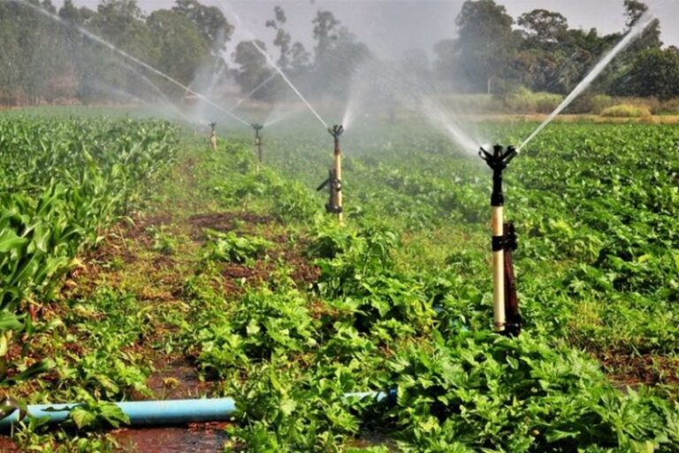 Debate na Câmara sobre descontos na Conta de Luz para agricultura e aquacultura durante o dia