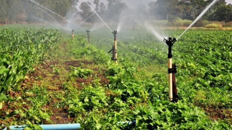 Debate na Câmara sobre descontos na Conta de Luz para agricultura e aquacultura durante o dia