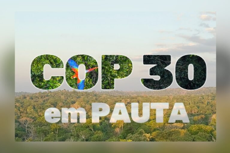 Perspectivas sobre o licenciamento ambiental e a COP30