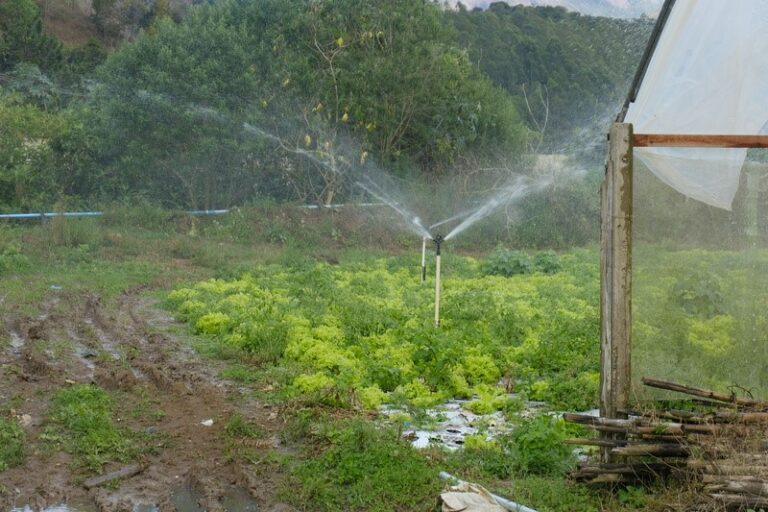 Programa de recuperação de mananciais do Rio Paraíba do Sul será destaque em Brasília