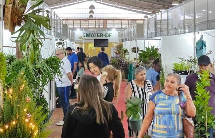 Semana do Produtor Rural de Sobradinho inicia na Quarta-Feira Semana do Produtor Rural de Sobradinho inicia na Quarta-Feira