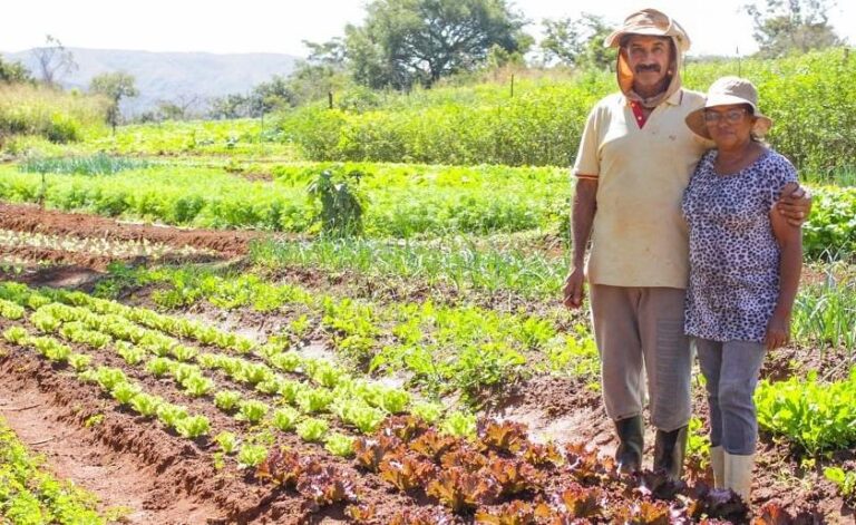 Aumento do salário do trabalhador rural nos primeiros três meses