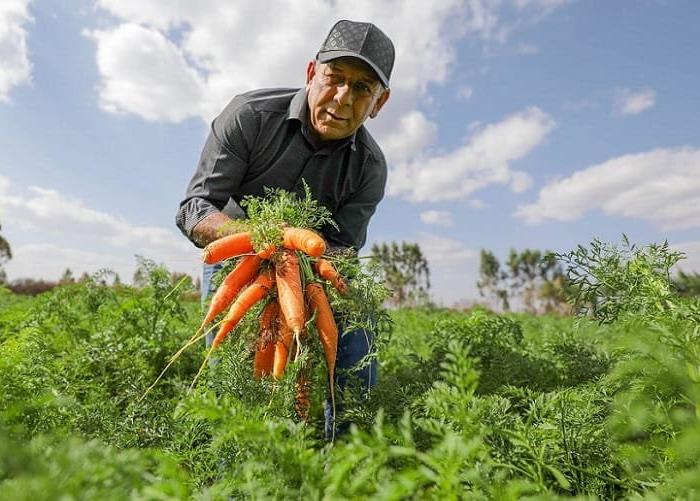 Crescimento de 40% na população rural do Distrito Federal