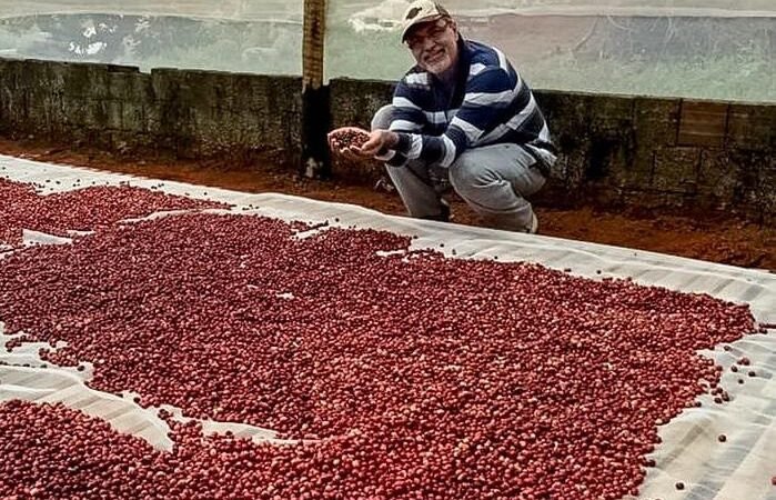 Preço do café pode baixar para o consumidor