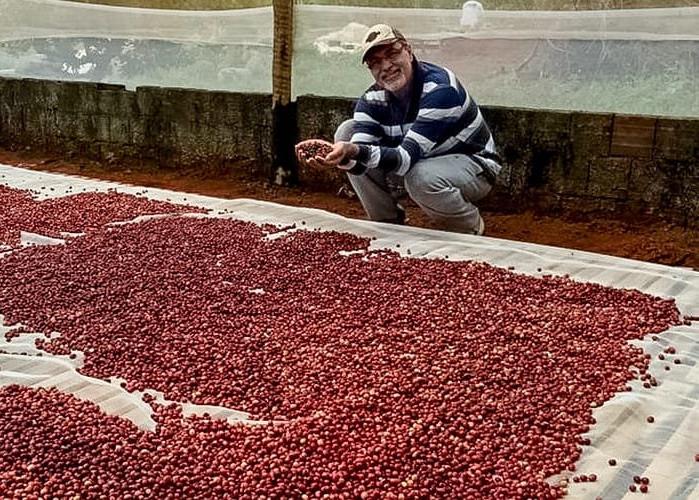 Preço do café pode baixar para o consumidor