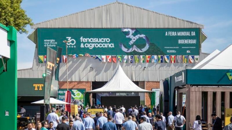 Brasil ocupa posição de destaque mundial na cogeração renovável de energia