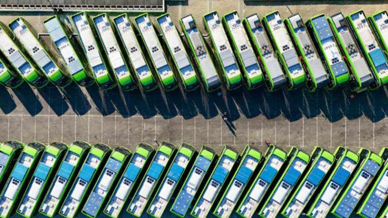 BYD entrega 60 novos ônibus elétricos em São Paulo e ajuda no avanço da descarbonização da frota da cidade