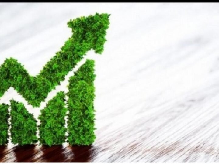 Bradesco e Neoenergia realizam primeira emissão de Debêntures Verdes no Programa Eco Invest