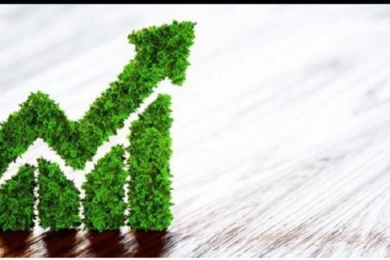 Debêntures Verdes Alavancam Projetos Sustentáveis