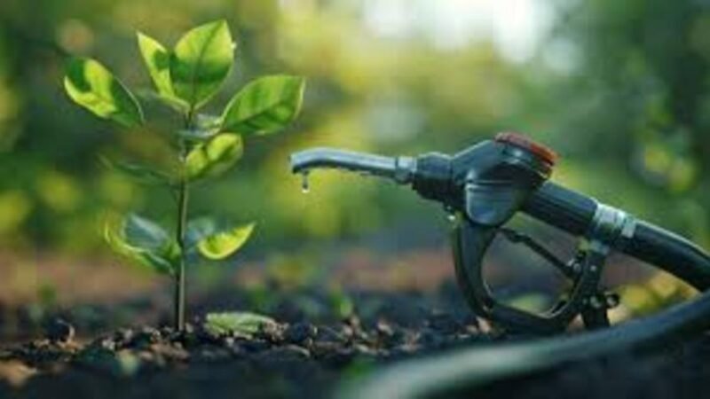 Programa Nacional de Biocombustíveis: Desafios e Impactos na Credibilidade com Liminares de Inadimplentes com o RenovaBio